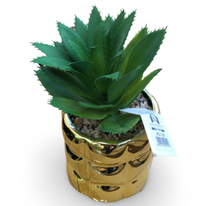 قوار ورد صبار16 سم بورسلان بابلز مدور ذهبيM21-29 قوار ورد صبار16 سم بورسلان بابلز مدور ذهبيM21-29